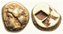 Greek
IONIA. Phokaia. (Circa 478-387 BC). 
EL Hekte (10.5 mm, 2.52 g). 
Head of a nymph to left, her hair bound in sakkos; behind, small seal downward...