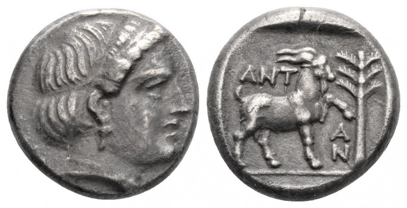 Greek
TROAS, Antandros. (Circa 420-400 BC)
AR Hemidrachm (13.3mm 2.77g)
Head of ...