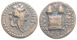 Roman Provincial
CARIA, Tabai. Pseudo-autonomous issue ( 69-79 AD). 
AE Bronze (16.6mm, 3.52g)
Obv: TABHNΩN , head of Dionysos to right, wearing ivy w...