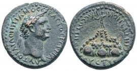 Roman Provincial
CAPPADOCIA. Caesarea. Domitian (81-96 AD) 
AE Bronze, (26.1mm, 13.50g) 
Obv: AYTO KAI ΔOMITIANOC CЄBACTOC ΓЄPMA; Laureate head, right...