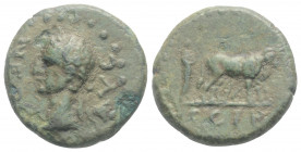 Roman Provincial
MYSIA, Parium. Nerva. ( 96-98 AD). 
AE Bronze (17.4mm, 3.60g). 
Obv: Laureate head left.
Rev: Pontiff driving yoke of oxen right, plo...