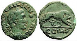 Roman Provincial
MYSIA, Parion. Gallienus (253-268 AD).
AE Bronze (20.2mm, 3.40).
Obv: IMP LIC GALLIENVS A, laureate head right 
Rev: CCIHP, she-wolf ...