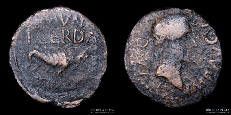 Hispania, Ilerda (Lérida). Augusto (27AC-14DC) AE As; 24.8mm; 6.60g. A: IMP AVGV...