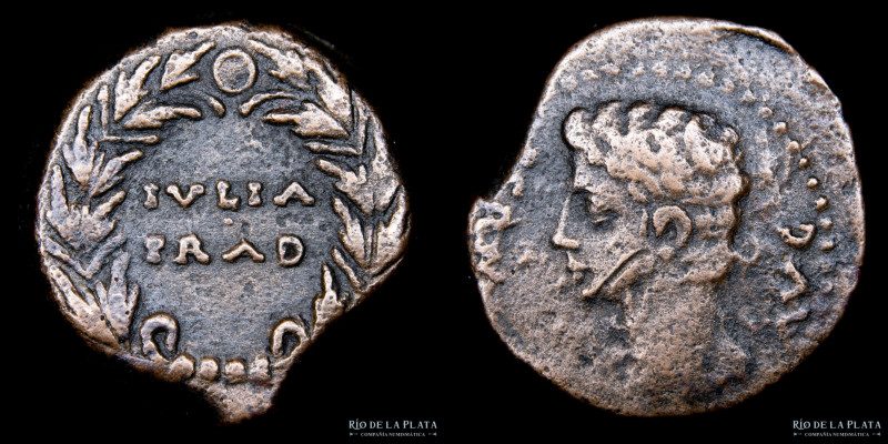 Hispania, Iulia Traducta (Algéciras, Cádiz). Epoca de Augusto 15-14AC. AE As; 24...