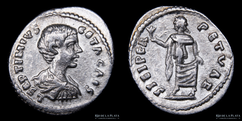 Roma. Geta como César bajo Septimio Severo y Caracalla (198-209DC) AR Denario, c...
