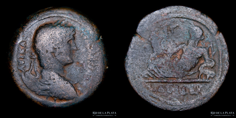 Roma Provincial, Alejandría (Egipto) Adriano 117-138DC. AE Dracma (año 12: 127dc...