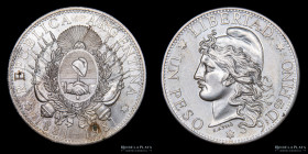 Argentina. 1 Peso 1881-1981. Medalla Centenario del Patacon. Plata