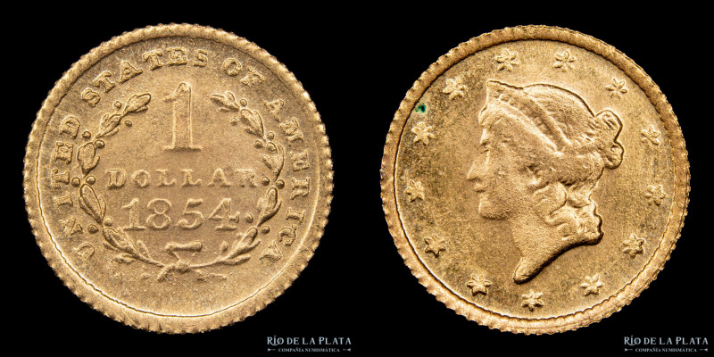 USA. 1 Dollar 1854. Liberty Head. Oro (AU.900); 13.0mm; 1.68g. KM73 

Estimate...