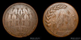 Italia. FAO Medalla Conmemorativa 25º Aniversario 1970