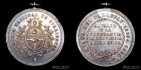 Guerra Triple Alianza. Argentina. Premio Militar 1869. Corrientes