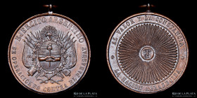 Guerra Triple Alianza. Argentina. Premio Militar 1870