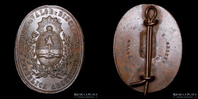 Guerra Triple Alianza. Argentina. Premio Militar 1872. Curupaity. Cobre