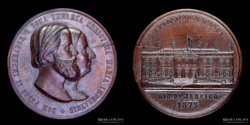 Brasil. 1873. Pedro II. 3a Exposición Nacional de Rio de Janeiro. Madera; 50mm; ...