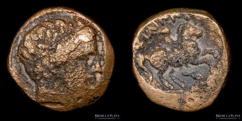 Reino de Macedonia. Filipo II 359-336. AE Unidad. 16.0mm; 5.53g. A: Cabeza de Ap...