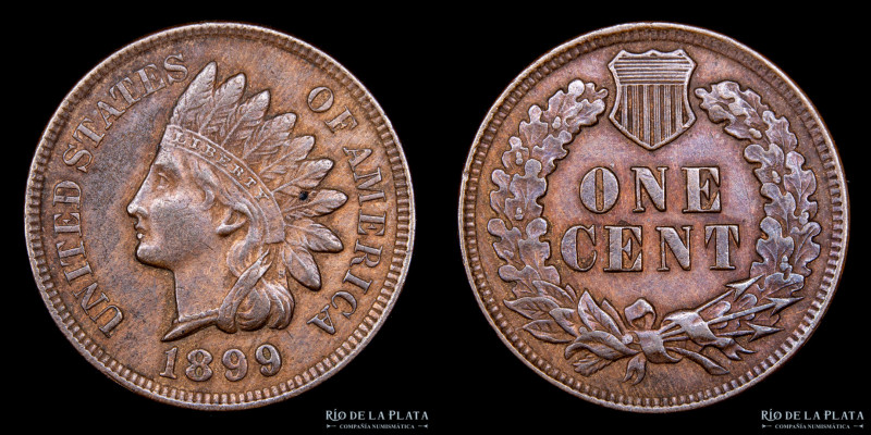 USA. 1899 Indian Head Cent. Penny. CU; 19mm; 3.20g. KM90a

Estimate: USD 15 - ...