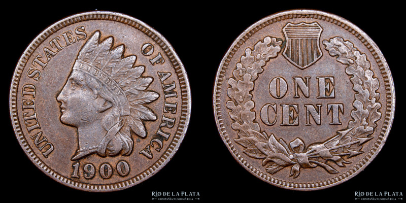 USA. 1900 Indian Head Cent. Penny. CU; 19mm; 3.10g. KM90a

Estimate: USD 15 - ...