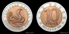 Rusia. Federacion. 10 Rublos 1992. Cobra. KMY309