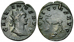 Gallienus AE Antoninianus, Goat reverse