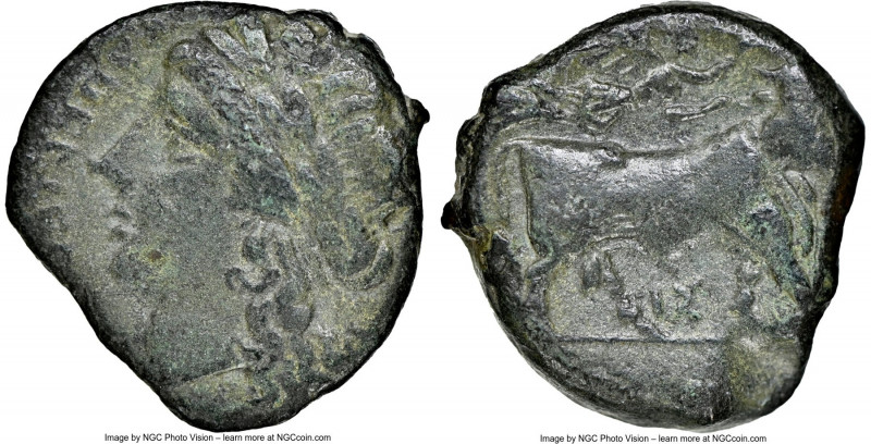 CAMPANIA. Compulteria. Ca. 275-225 BC. AE (17mm, 1h). NGC VF. Ca 265-240 BC. Lau...