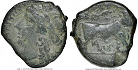 CAMPANIA. Compulteria. Ca. 275-225 BC. AE (17mm, 1h). NGC VF. Ca 265-240 BC. Laureate head of Apollo to left; Oscan ethnic 'kumpulterum' before, oval ...