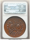 Confederation bronze "Neuchatel - Chaux-de-Fonds Shooting Festival" Medal 1886 MS64 Brown NGC, Richter-951b. 47mm.

HID09801242017

© 2022 Heritag...