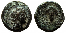 Syria. Seleucis and Pieria. Apameia. Semi-Autonomous issue. AE 13 mm.