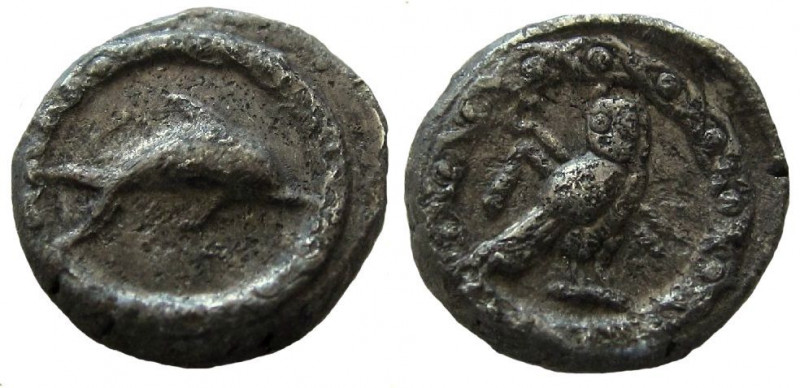 Phoenicia. Tyre. Circa 393-311/0 BC. AR 1/16 Shekel.

8 mm. 
Obverse: Dolphin...
