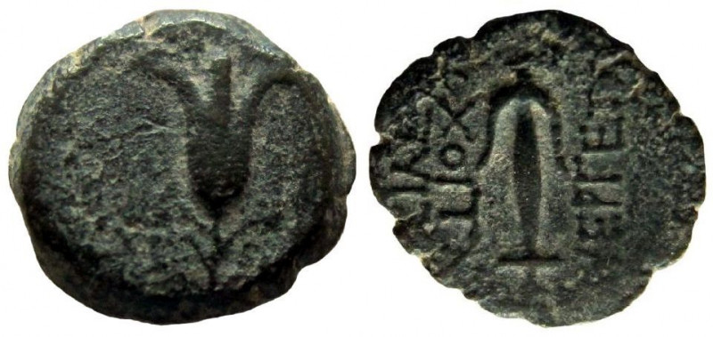 Judean Kingdom. John Hyrcanus I, 134 - 104 BC. AE 15 mm.
Struck in the name of ...