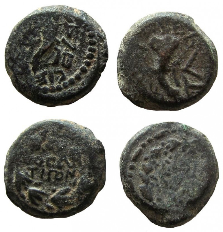 Judean Kingdom. Mattathias Antigonus, 40 - 37 BC.
Lot of 2 coins.

Fine/Very ...