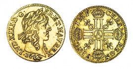 FRANCIA. 1/2 Louis d´or. Luis XIV. París. 1642-A. W/KM-125. Rayita en anv. 3,37 g. MUY ESCASA. MBC+
