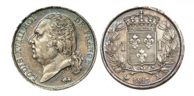 FRANCIA. 1 Franco. Luis XVIII. París. 1817-A. LF/F.206/9. 5,02 g. Bonita pátina. EBC