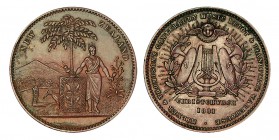 NUEVA ZELANDA. 1 Penny. 1881. W/KM-Tn50. 11,05 g. EBC+