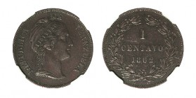 VENEZUELA. 1 Centavo. 1862. Encapsulada. LIBERTAD en relieve. W/KM-7. EBC-