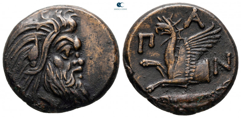 Cimmerian Bosporos. Pantikapaion circa 310-304 BC. 
Bronze Æ

22 mm, 7,45 g
...