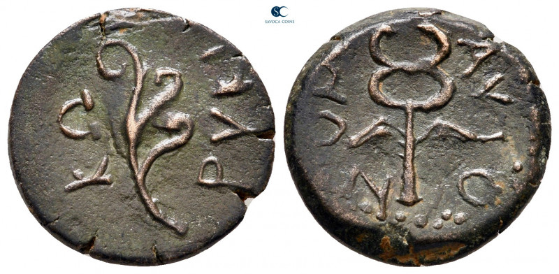 Cilicia. Korykos circa 100-0 BC. 
Bronze Æ

17 mm, 4,38 g

Aphlaston / Wing...