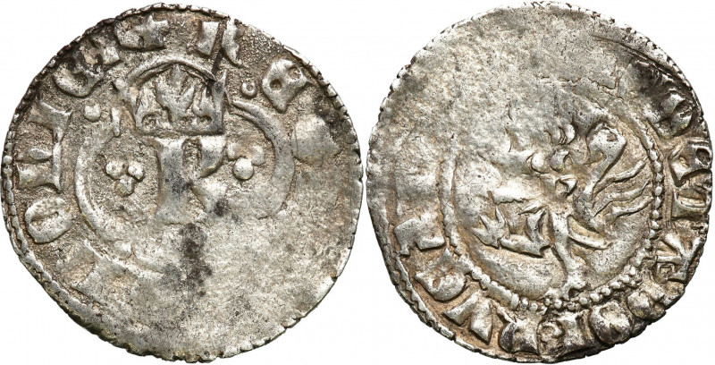 Medieval coins
POLSKA / POLAND / POLEN / SCHLESIEN

Kazimierz III Wielki (133...
