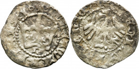Medieval coins
POLSKA / POLAND / POLEN / SCHLESIEN

Władysław Jagiełło (1386-1434). Polgrosz 1404-1406, Krakow (Cracow) - litera n 

Wariant z li...