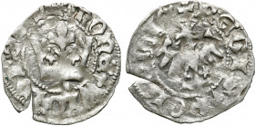 Medieval coins
POLSKA / POLAND / POLEN / SCHLESIEN

Władysław Jagiełło (1386–1434). Polgrosz koronny, Krakow (Cracow) – kropka pod koroną 

Odmia...
