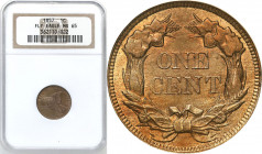 USA (United States of America)
USA 1 cent 1857 Flying Eagle NGC MS65 - BEAUTIFUL 

Połysk menniczy, subtelna patyna.Do monety dołączony certyfikat ...