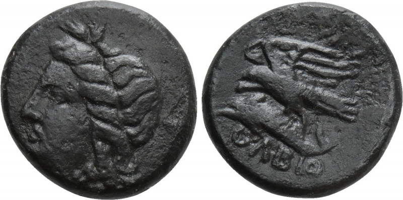 SKYTHIA. Olbia. Ae (Circa 380-360 BC). 

Obv: Head of Demeter left.
Rev: OΛBI...