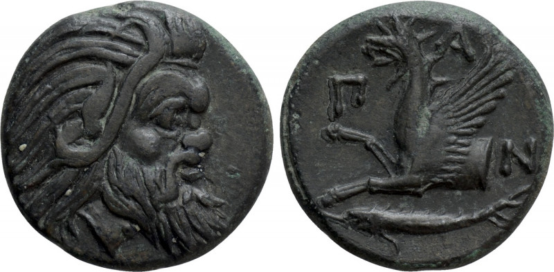 CIMMERIAN BOSPOROS. Pantikapaion. Ae (Circa 310-304/3 BC). 

Obv: Bearded head...