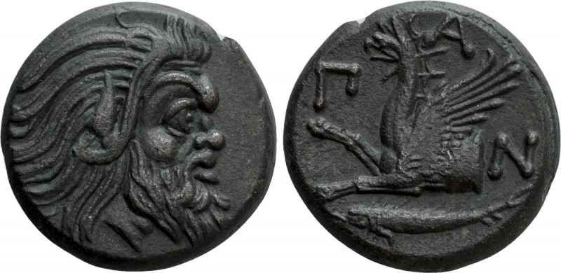 CIMMERIAN BOSPOROS. Pantikapaion. Ae (Circa 310-304/3 BC). 

Obv: Bearded head...