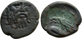 MOESIA. Istros. Ae (3rd century BC)