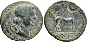 KINGS OF GALATIA. Amyntas (36-25 BC). Ae. Uncertain mint in Galatia, Pisidia or Lykaonia