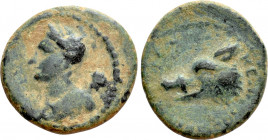 SELEUCIS & PIERIA. Laodicea ad Mare. Pseudo-autonomous. Time of Antoninus Pius (138-161). Ae