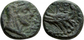 JUDAEA. Ascalon. Time of Hadrian (117-138). Ae. Dated CY 221 ? (AD 117/8)