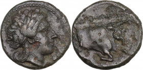 Greek Italy. Central and Southern Campania, Neapolis. AE 14 mm, 325-320 BC. Obv. Laureate head of Apollo right. Rev. Forepart of man-headed bull right...