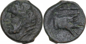 Greek Italy. Northern Apulia, Arpi. AE 14 mm, 325-275 BC. Obv. Laureate head of Zeus left; behind, thunderbolt. Rev. Forepart of boar right; above, th...