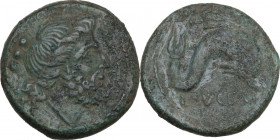 Greek Italy. Northern Apulia, Luceria. AE Teruncius, c. 211-200 BC. Obv. Laureate head of Poseidon right; behind, three pellets. Rev. Dolphin right. H...