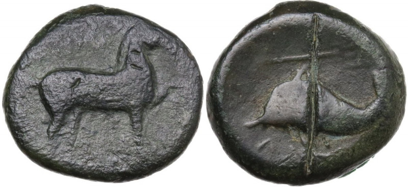 Greek Italy. Northern Apulia, Salapia. AE 18 mm, c. 275-250 BC. Obv. Horse right...